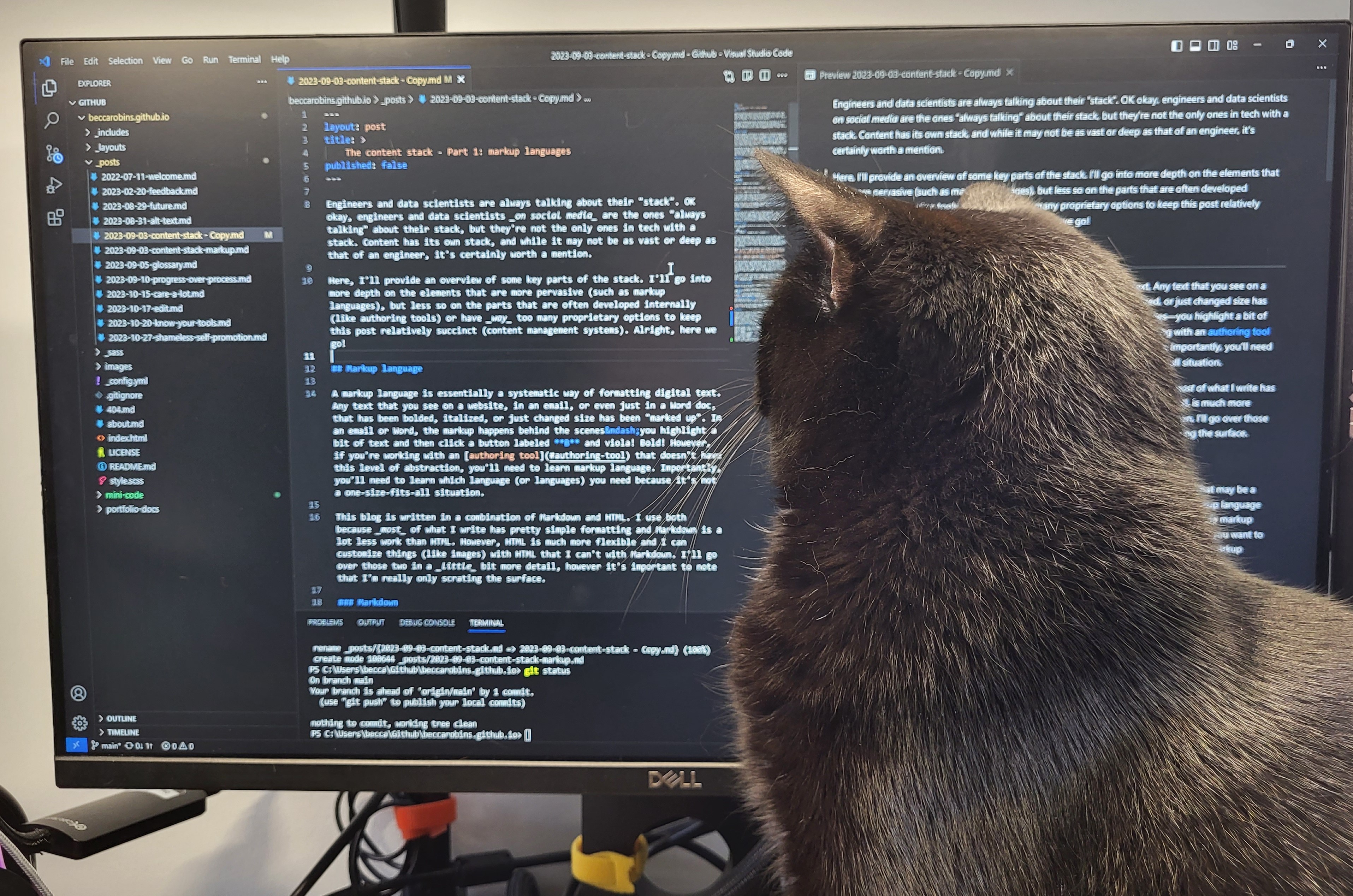 Becca's cat Mick supervising her authoring work in Visual Studio Code]